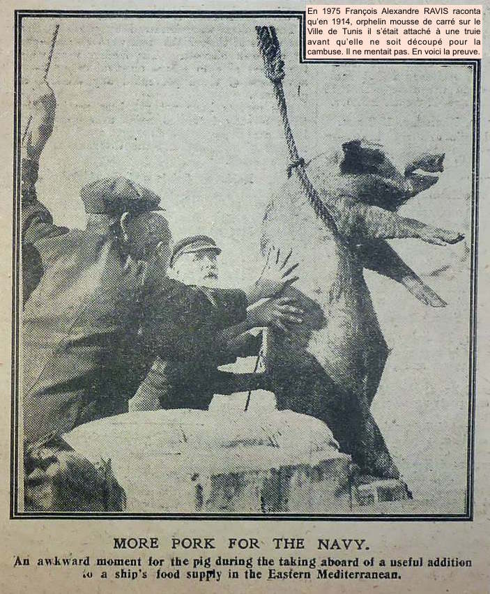 1917, truie chargee a bord  pour la cambuse.jpg