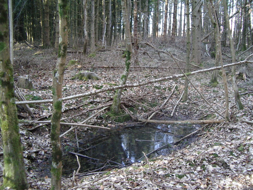 Img-04.JPG