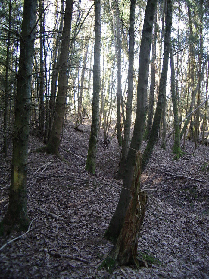 Img-03.JPG