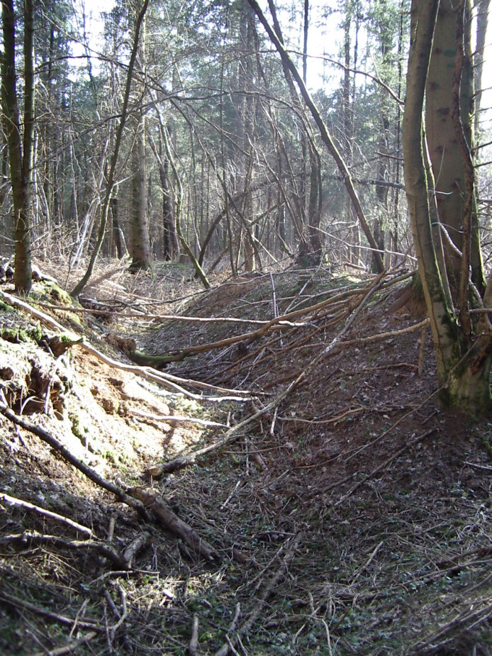 Img-02.JPG