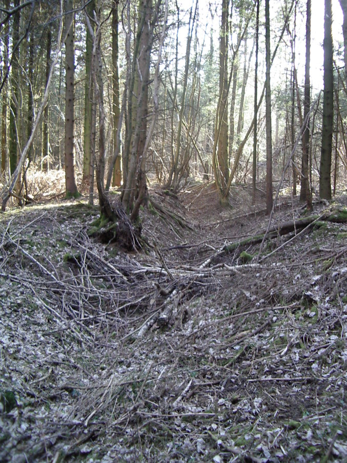 Img-01.JPG