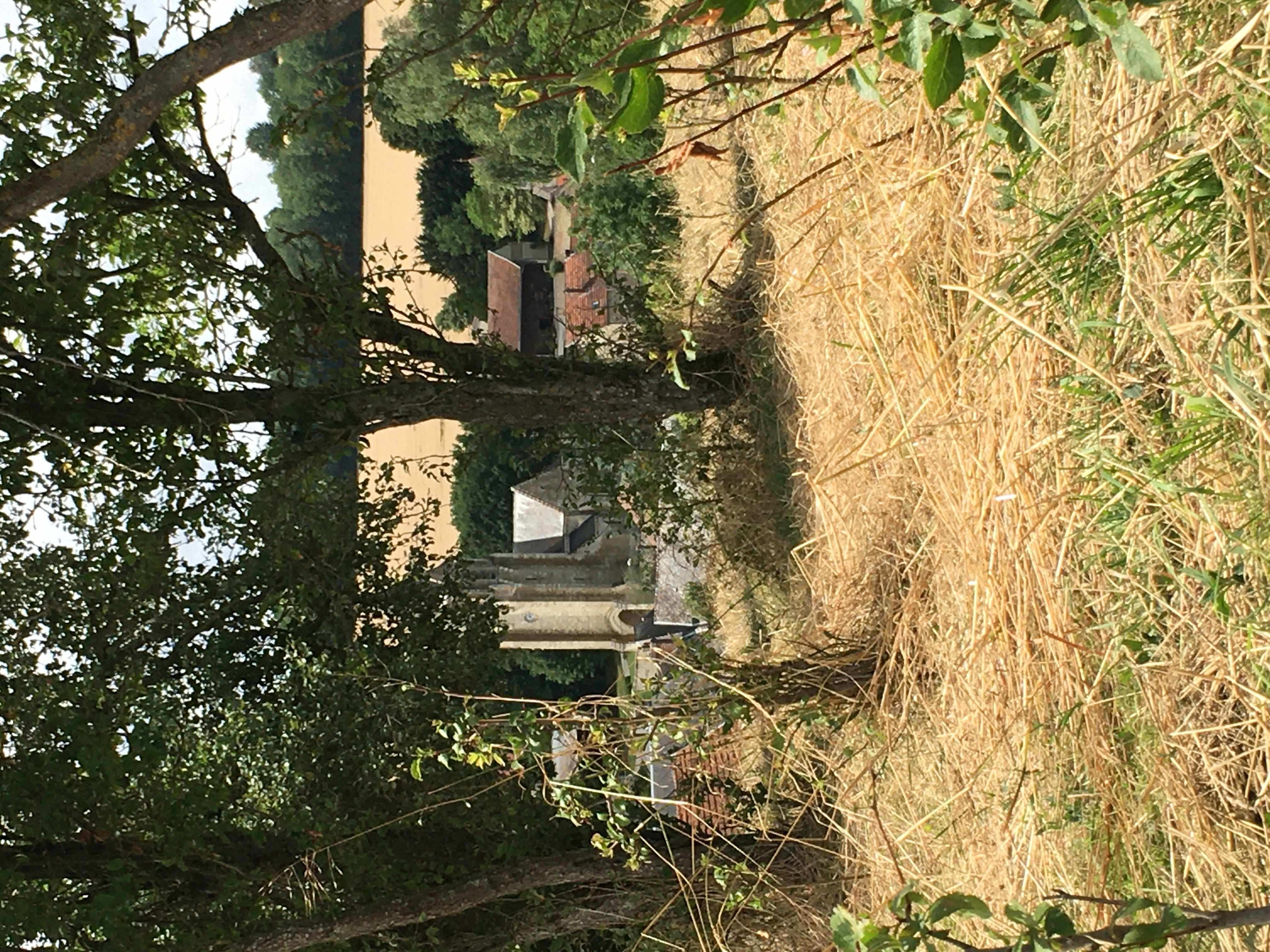 Vu sur le village.JPG