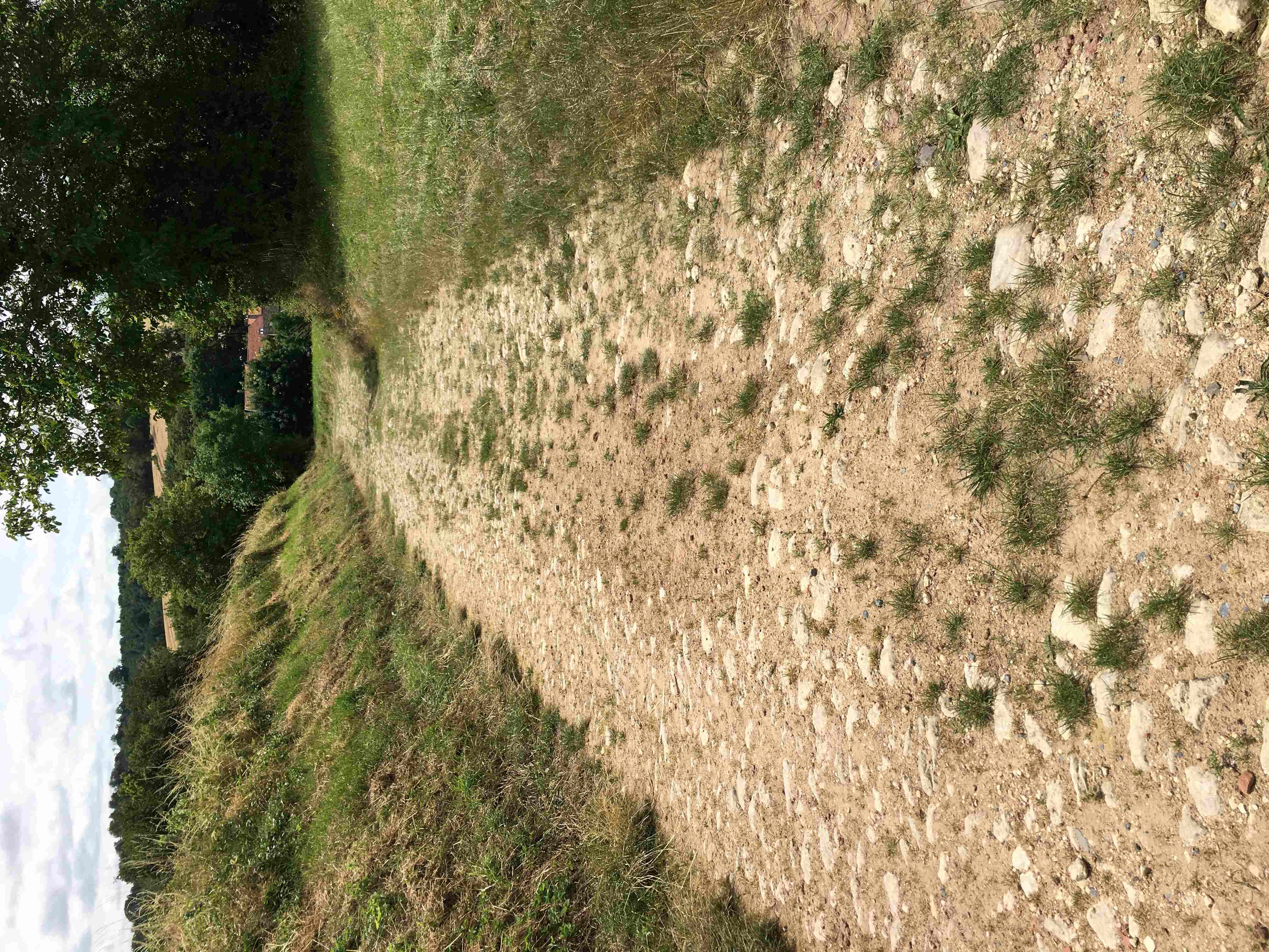 Boyau de Péronne vue vers Craonnelle.JPG