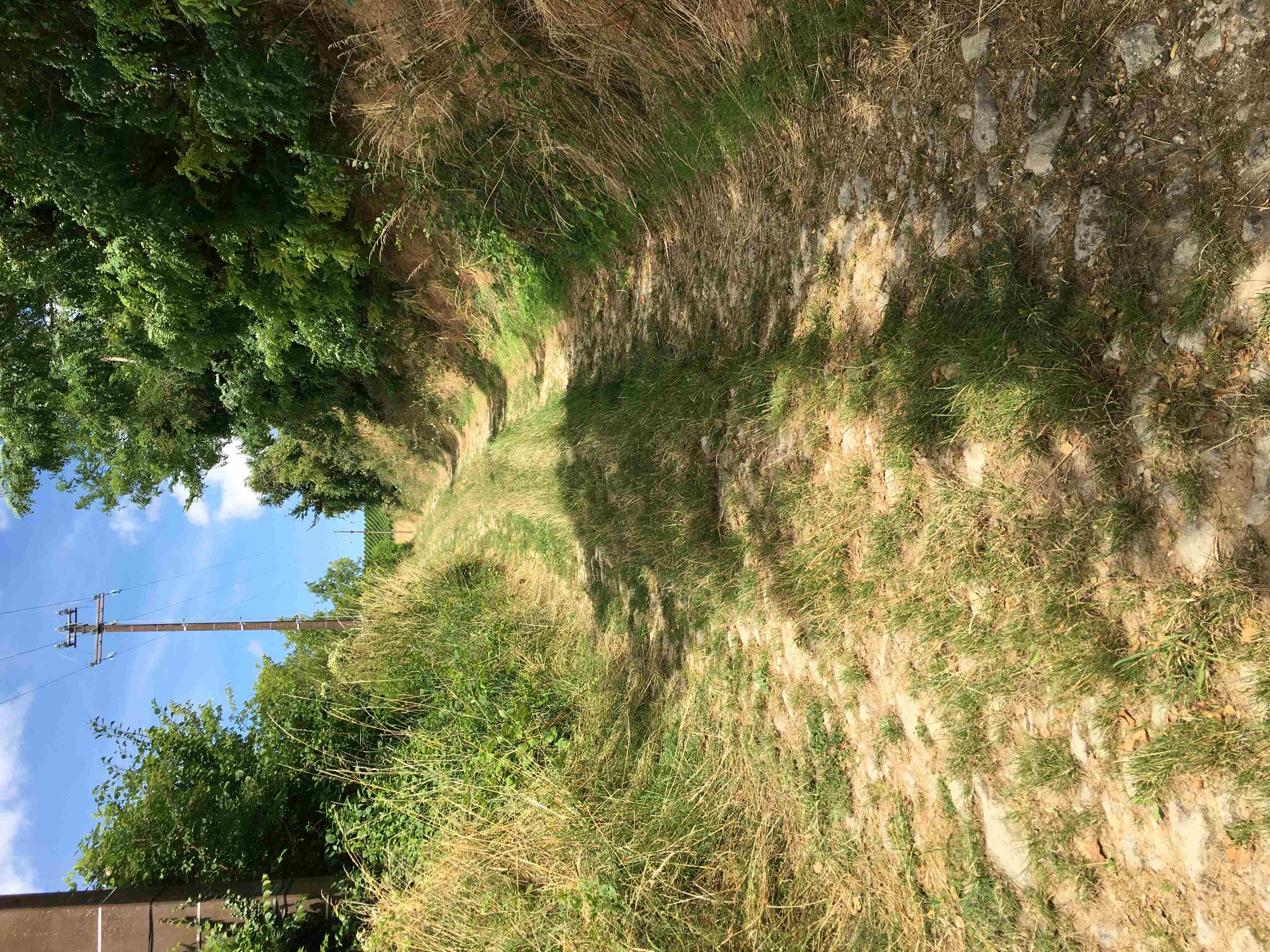 Boyau de Péronne vue vers le plateau.JPG