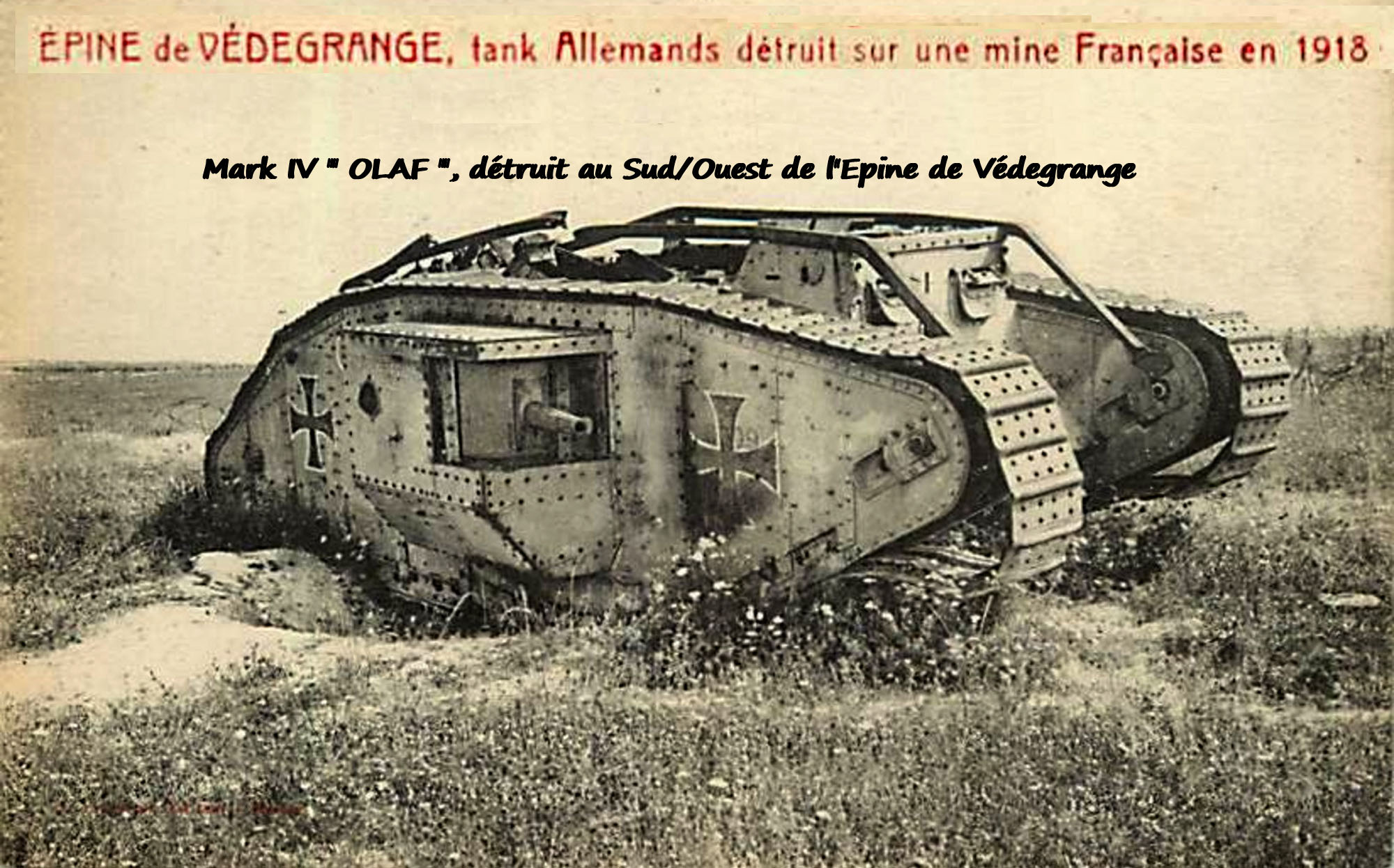 11 - DEU - Epine de Védegrange 001.jpg