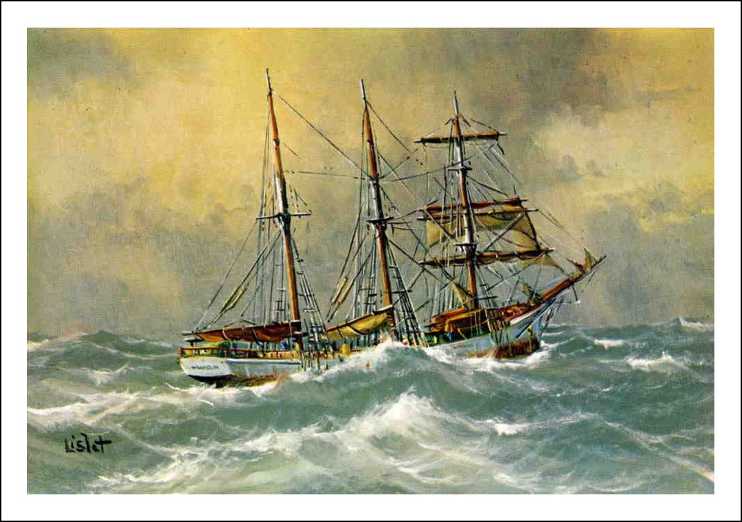 ALBATROS.jpg