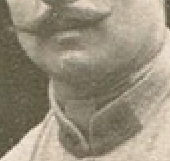 patte de col.jpg