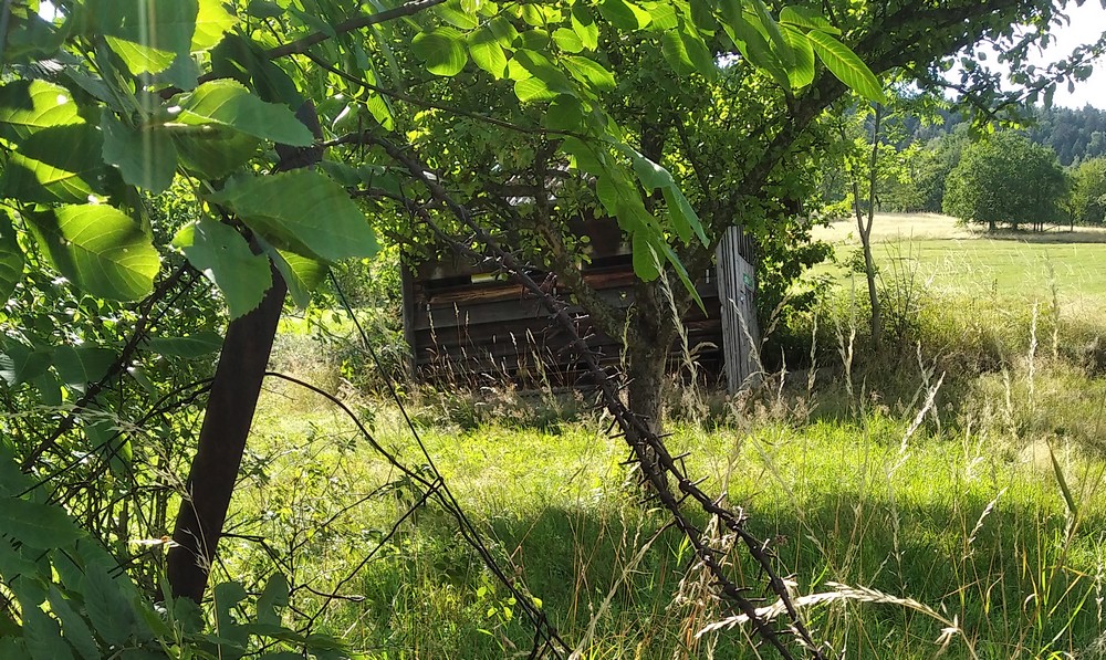 campagne.jpg