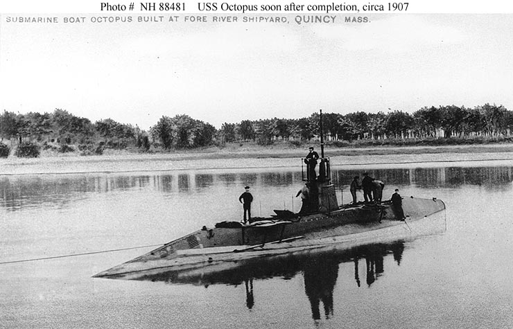 C1 OCTOPUS 0800906.jpg