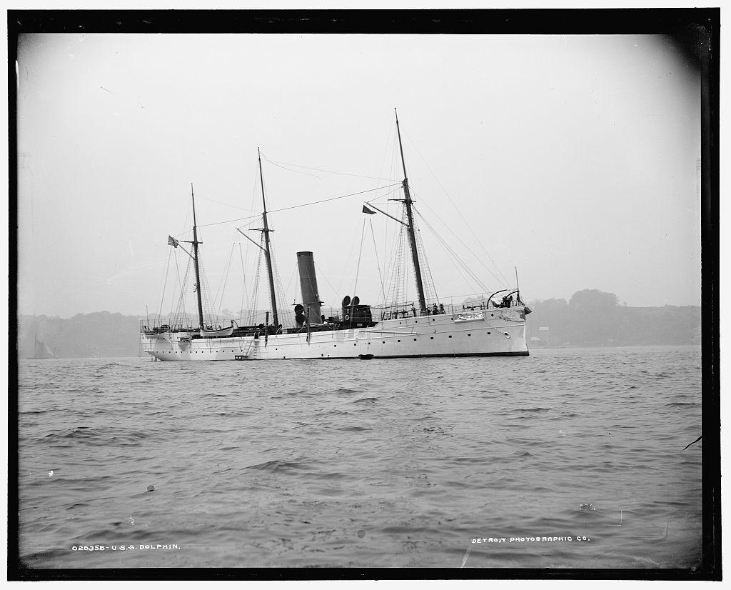 PG24 DOLPHIN 1893 4 à new york.jpg