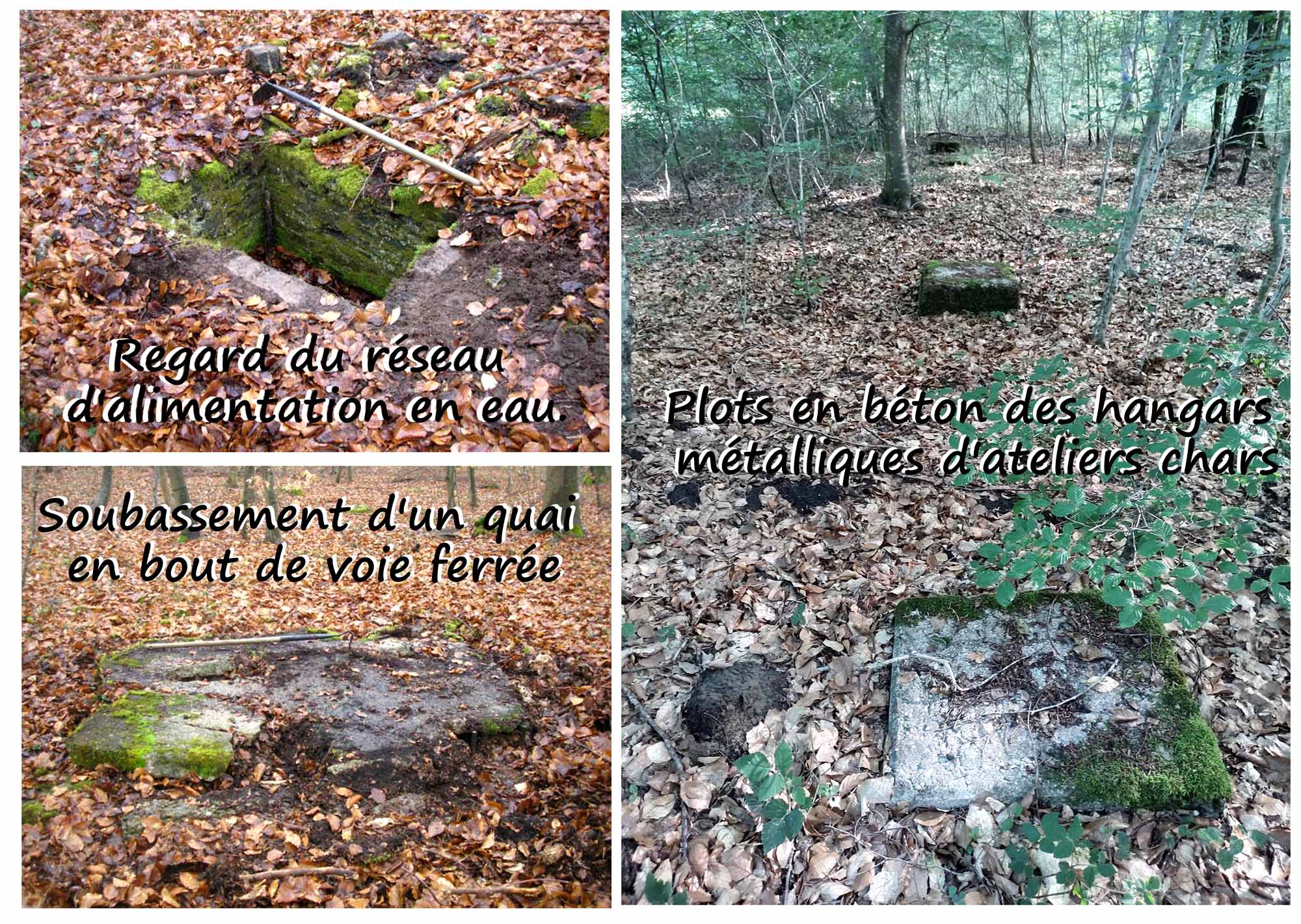 02 - Vestiges du camp en forêt (01a).jpg