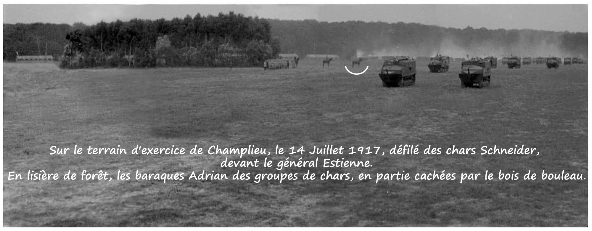 05 - Bois de bouleau de Champlieu (01a).jpg