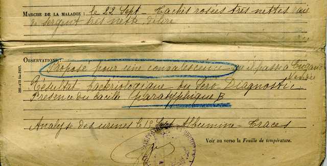 JAGUAR img004rwo.jpg