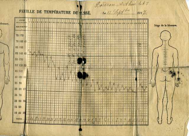 JAGUAR img005ibr.jpg