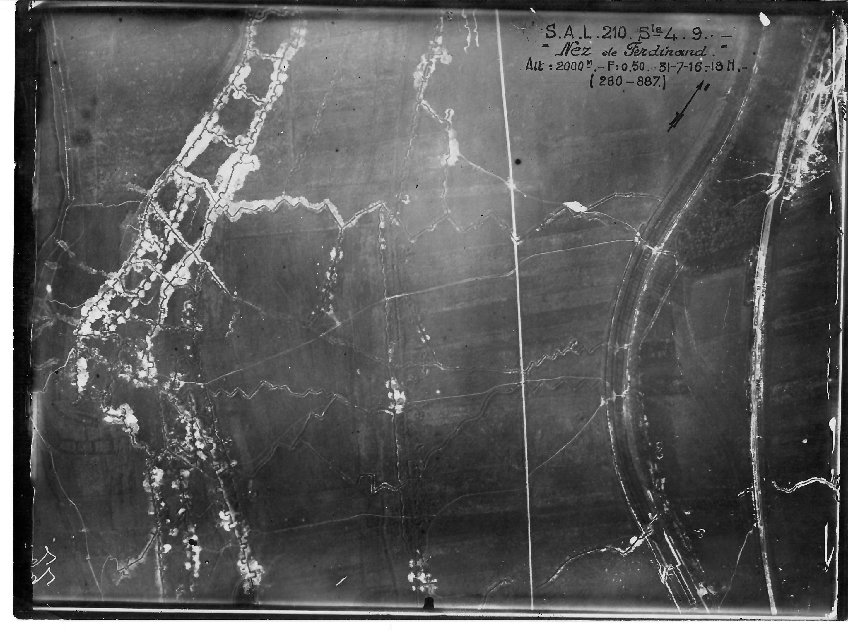 Nez de Ferdinand.jpg