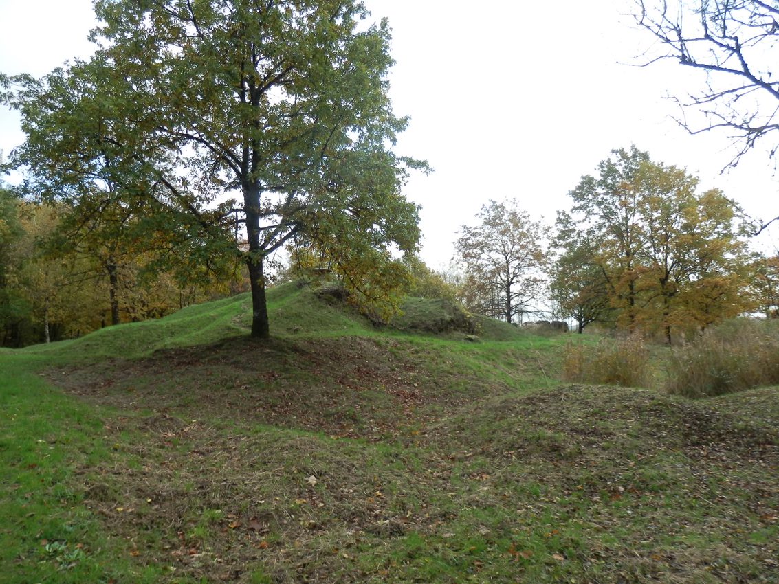 ruines de l'ouvrage de Thiaumont.jpg