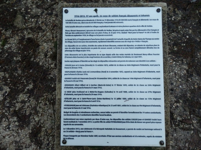 TRTUJRTJRTJRTJ (640x480)-min.jpg