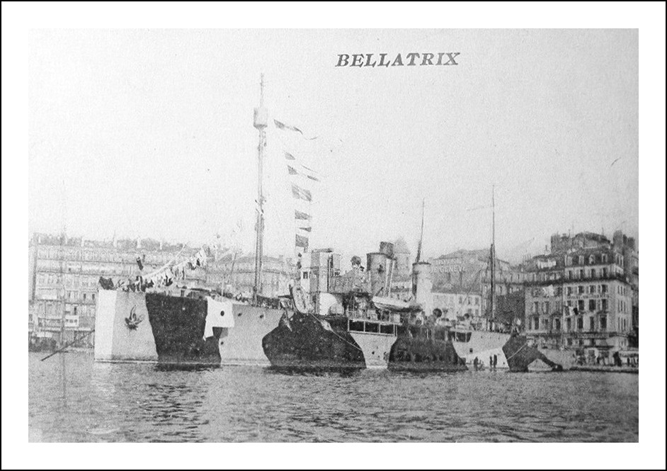 BELLATRIX camouflage.jpg