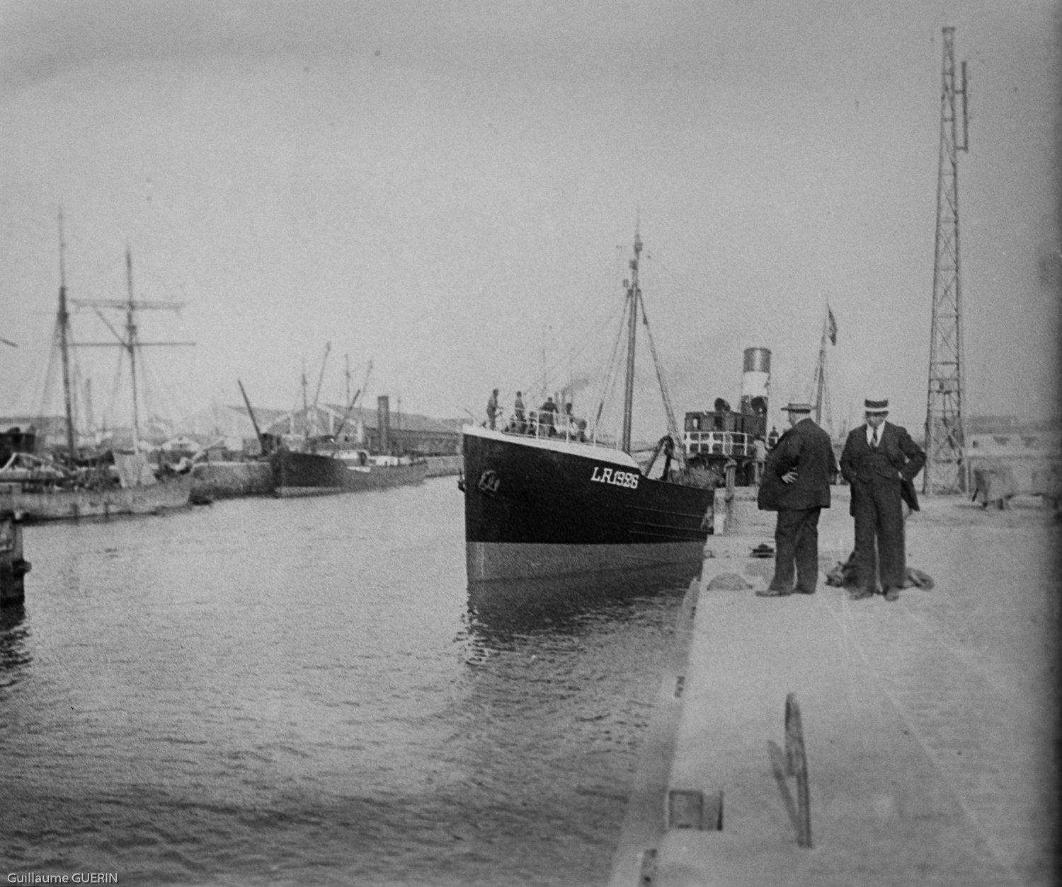 Photo  Goéland