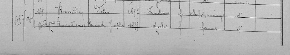 renaudin felix  recensement 1931.jpg