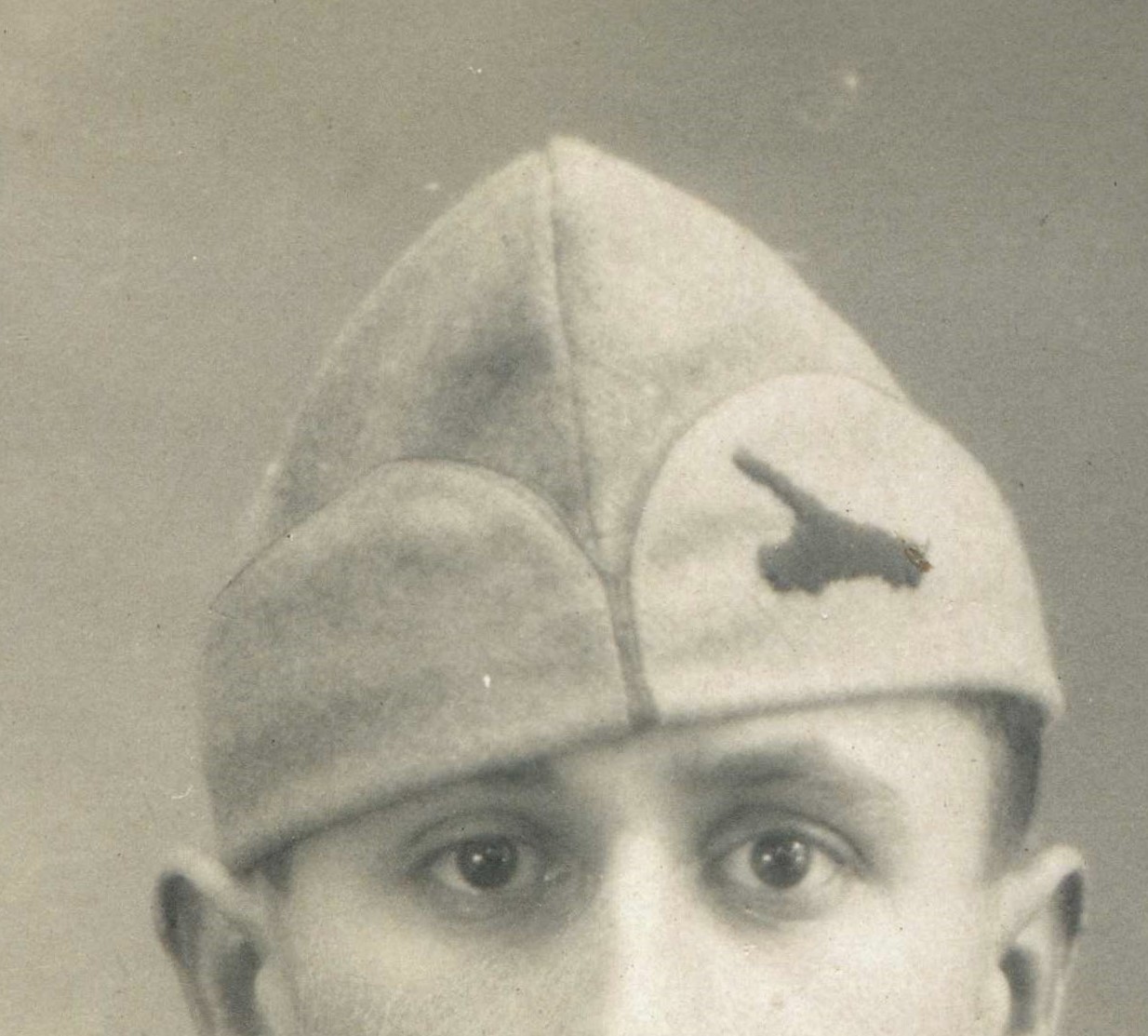 372 RALVF a.jpg