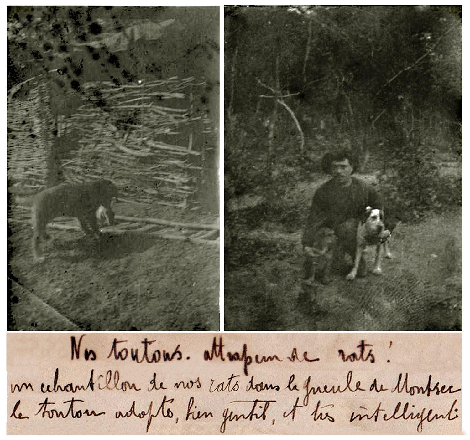 Nettoyeur de tranchées (01).jpg