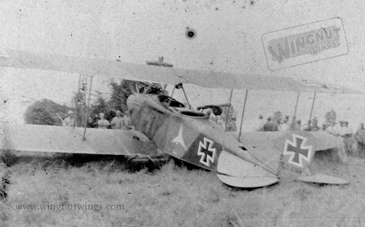 DFW C.V (LVG) 2164~17 immediatly after capture (1096-059).jpg