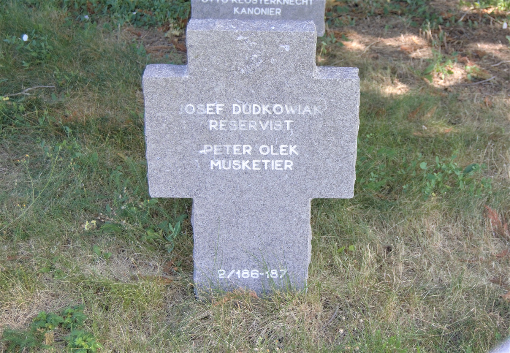 05.jpg