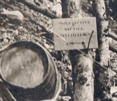 Meunier2.jpg