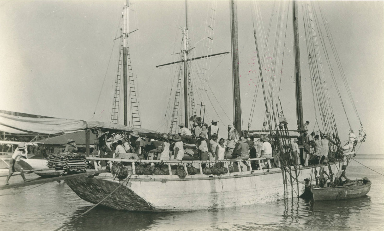 goelette-australe.jpg