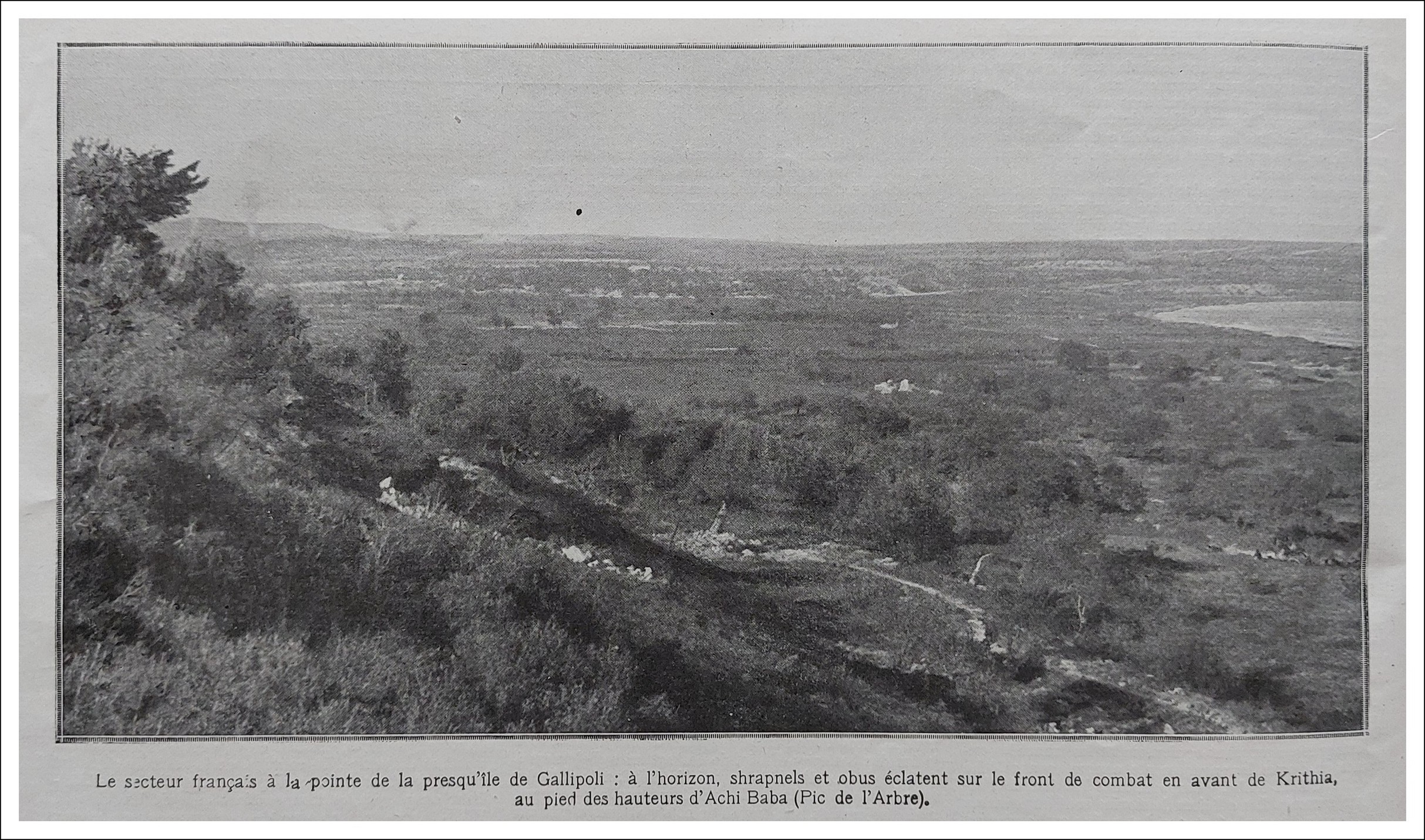 Dardanelles LI 1915-06-05 I -.jpg