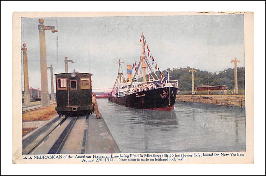 NEBRASKAN American Hawaïan Line.jpg