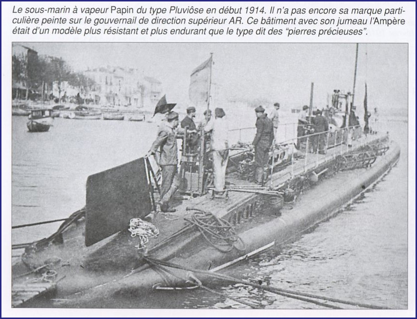papingz3.jpg