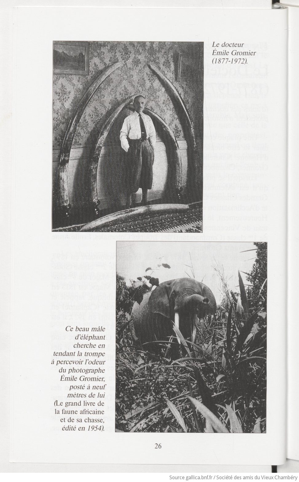 Bulletin___Société_des_amis_[...]Amis_du_bpt6k65756192_28.jpeg