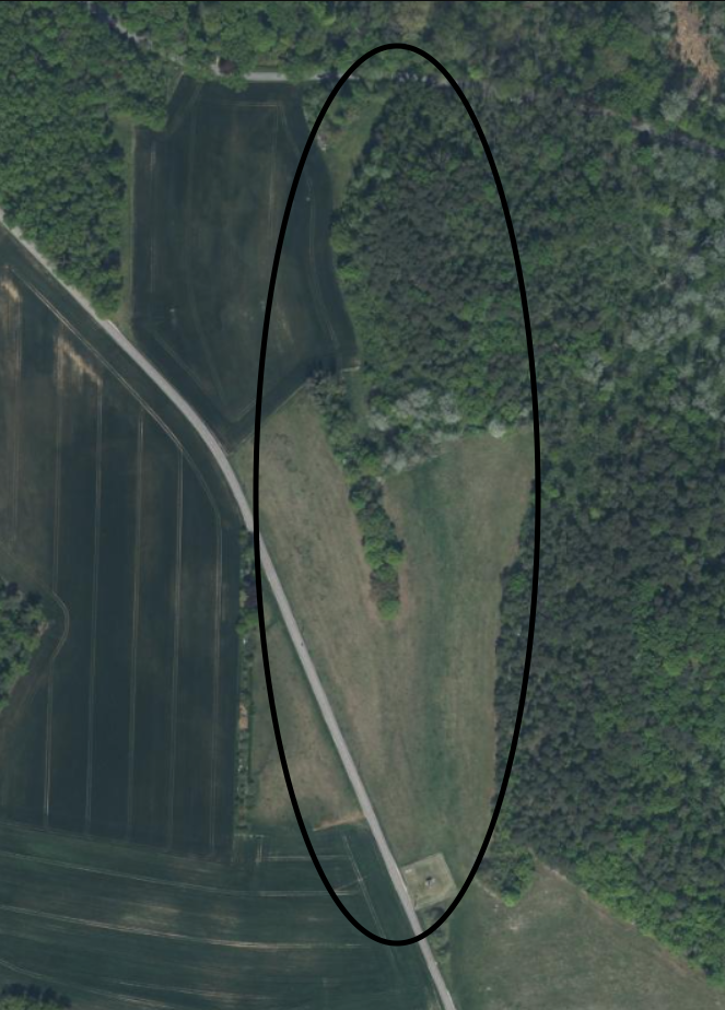 Capture d'écran 2024-10-05 210431.png