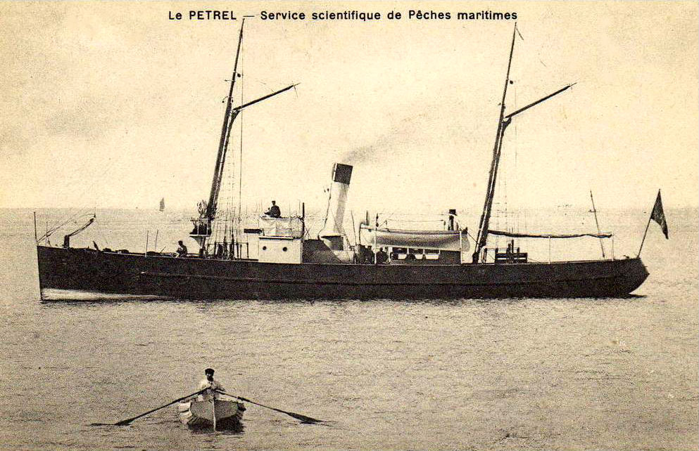 PÉTREL — Garde-pêche -  .jpg