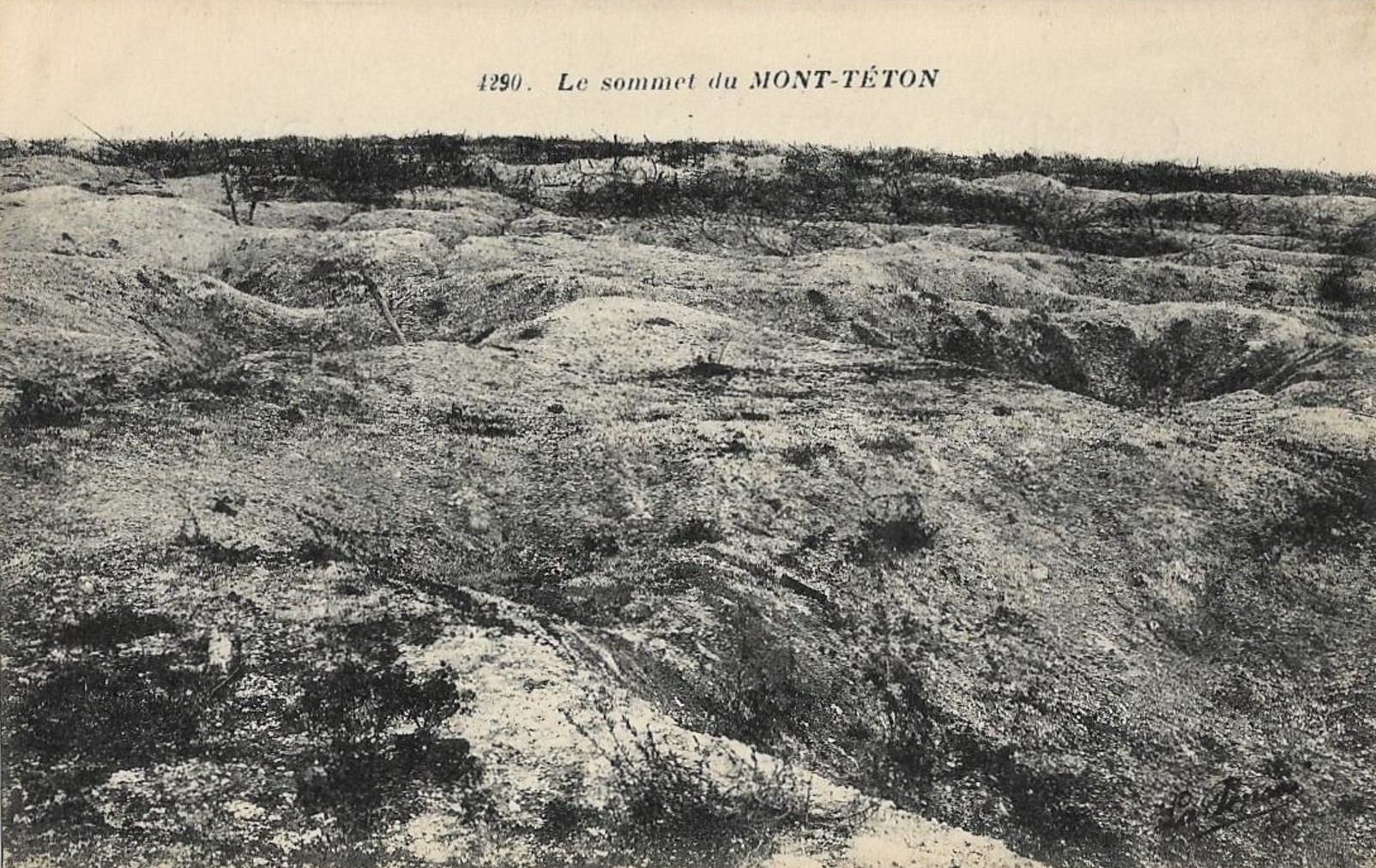 Sommet du Mont Téton.jpg