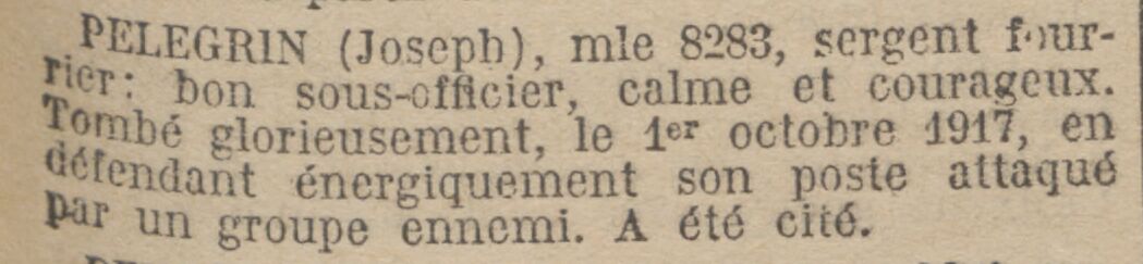 415e RI PELEGRIN.jpg