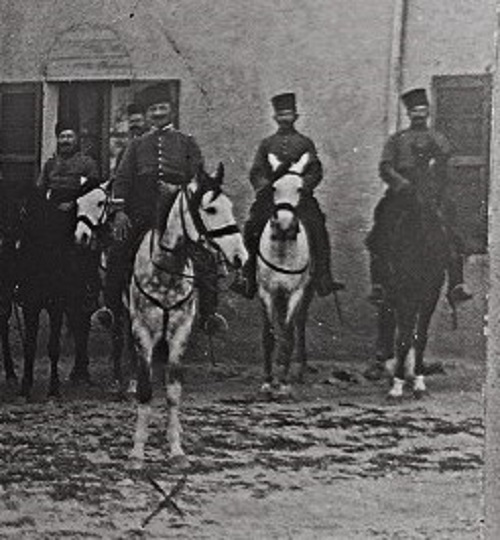 CALVET.jpg