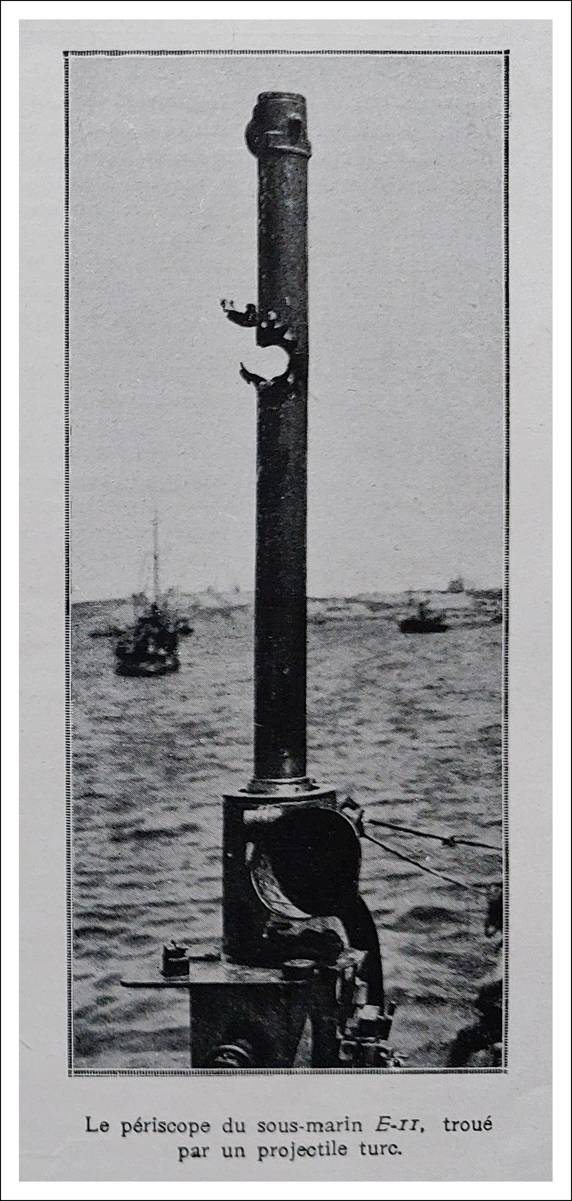 E11 LI 1915-07-24 B -.jpg