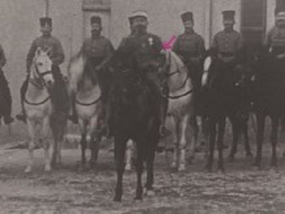 CALVET2.jpg