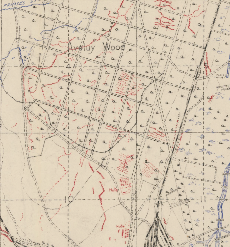 Bois d'Aveluy-.png