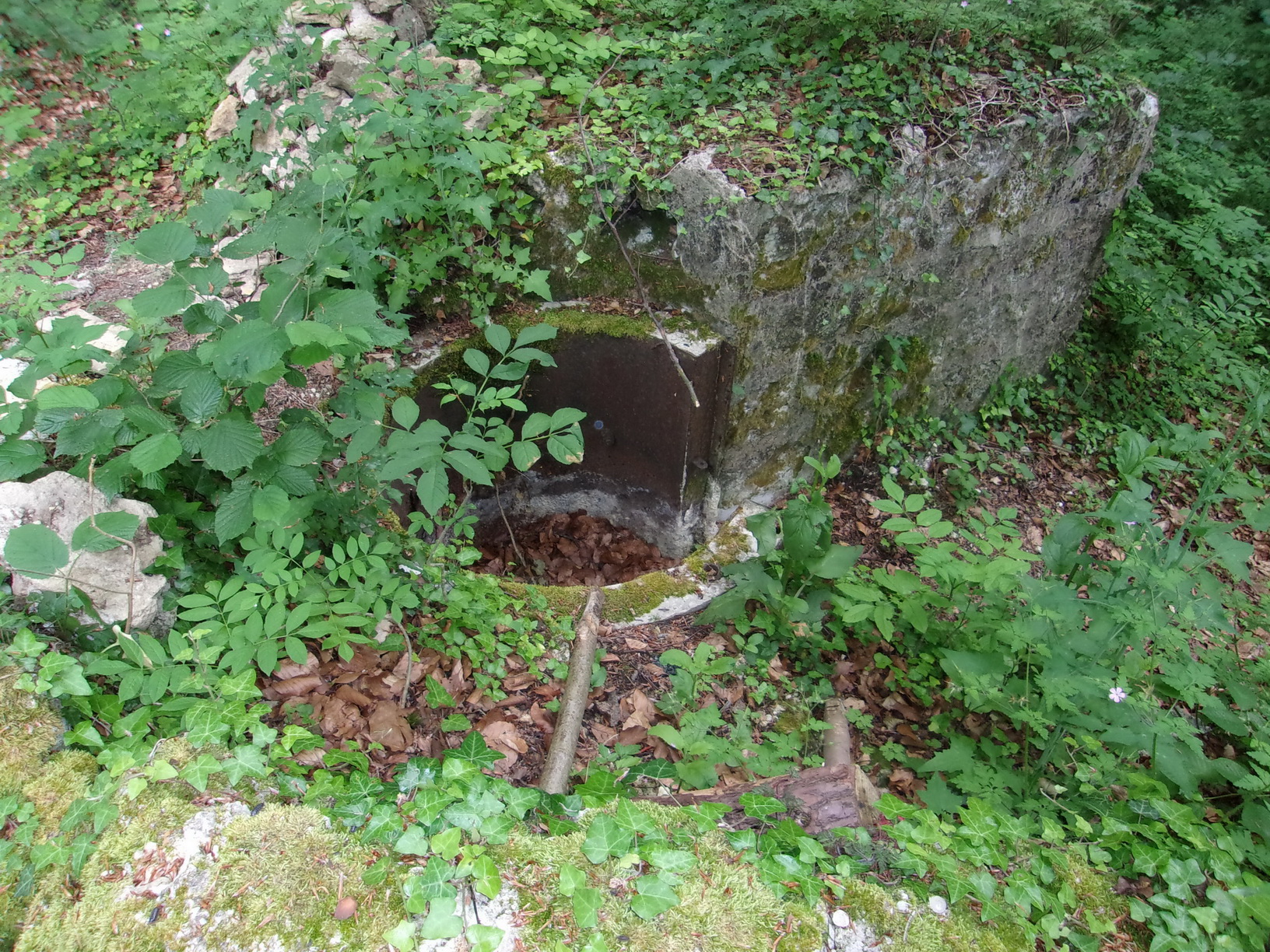 Tourelle d'obs. vers Autrêches (02a).jpg