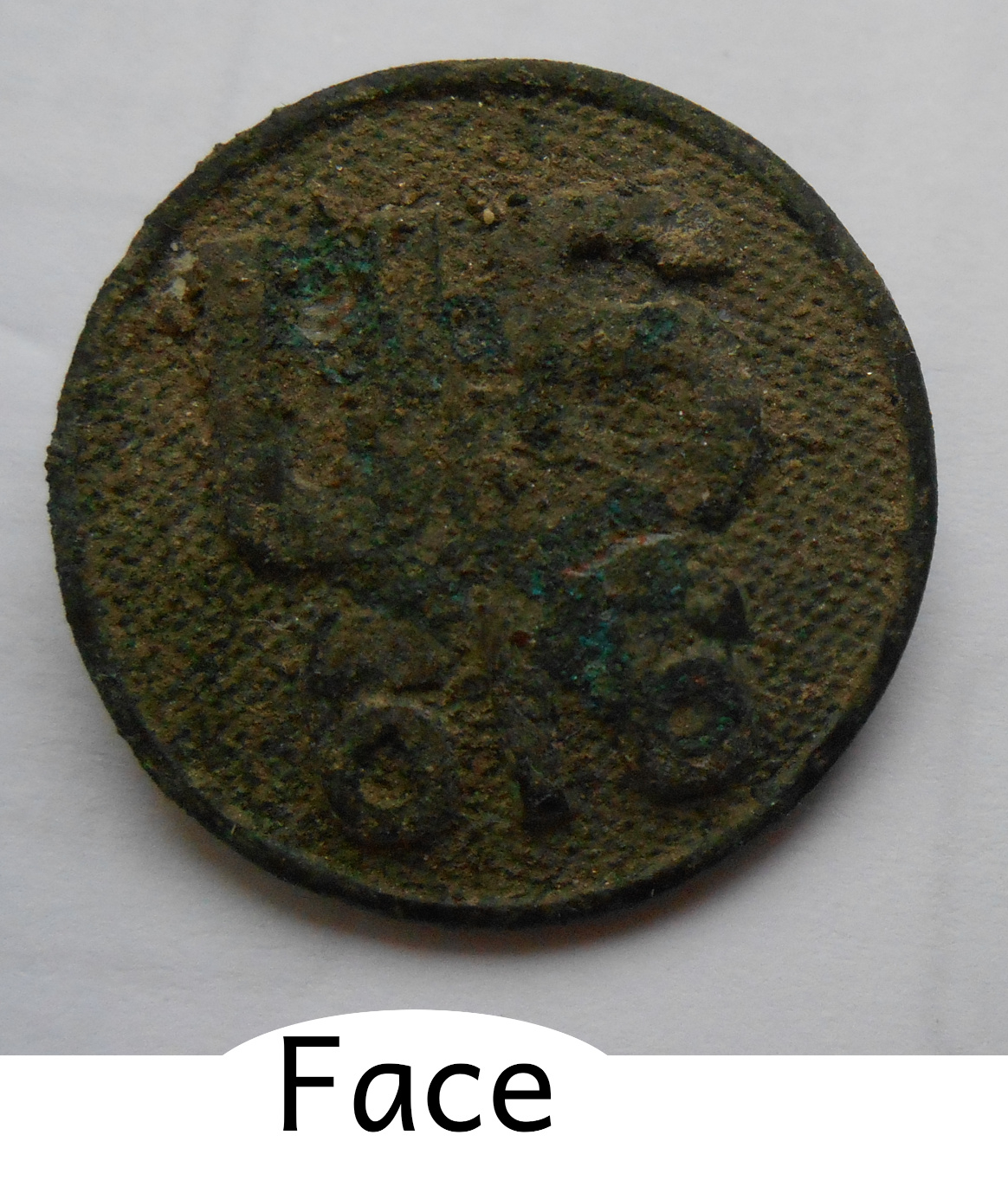 DSCN7736_face.JPG