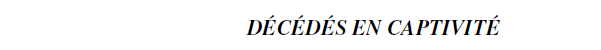Capture d’écran (5609).png