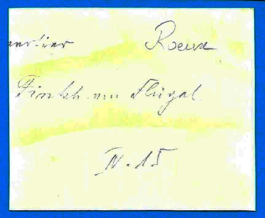vignette 15.jpg