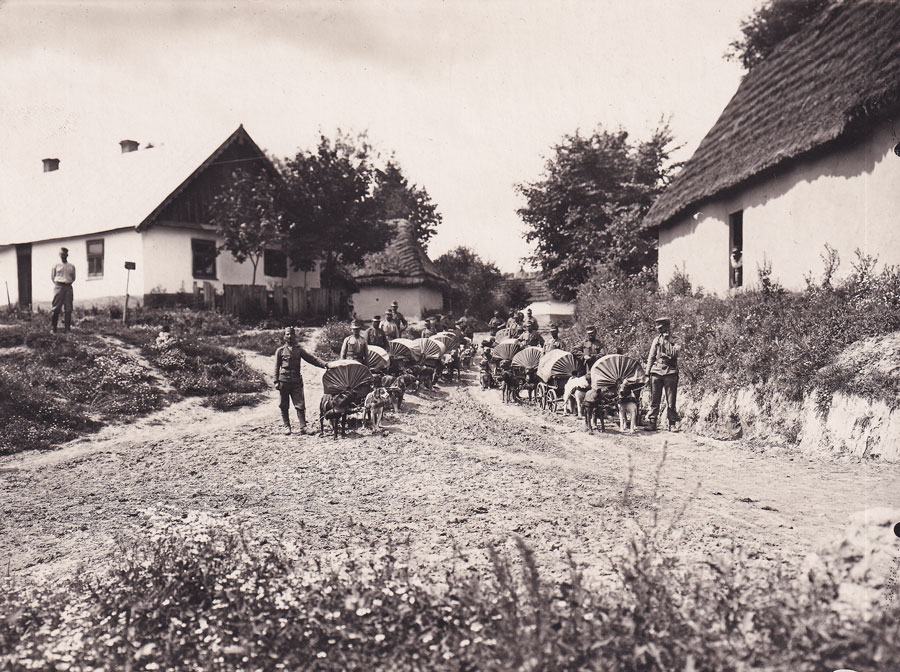 kuk armee_ hunde_train.jpg