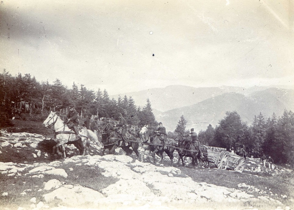 75 attelé à 8.jpg