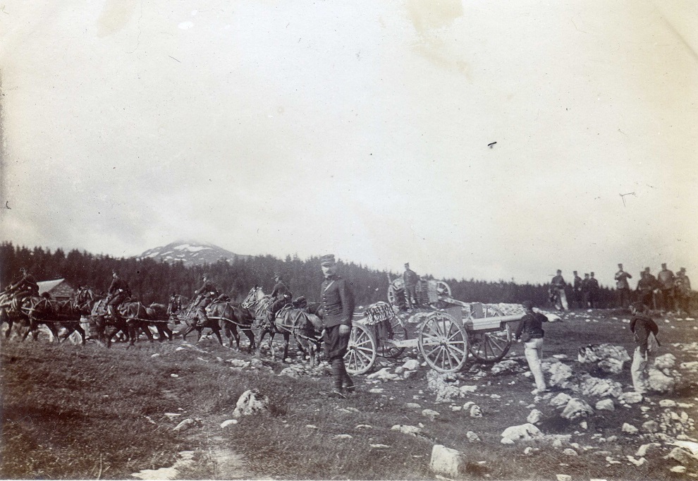 75 attelé à 8-.jpg