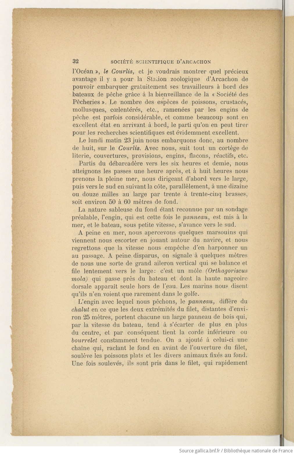 Travaux_des_laboratoires___Société_[...]Station_zoologique_bpt6k1199567k_54.jpeg